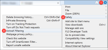 Internet Explorer browser settings.