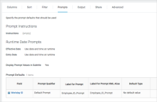 Image de l'onglet des invites de rapport personnalisé.