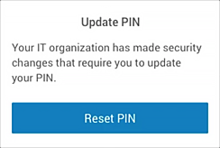 End-user notification for PIN change