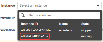 Associate Elastic IP with instance