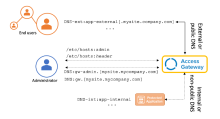 Access GatewayおよびDNSの使用