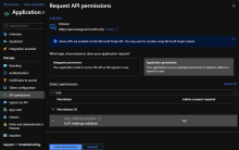 The image shows the Request API permissions settings.